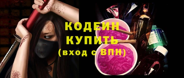 стафф Каменка