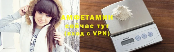 молекула духа Алексеевка