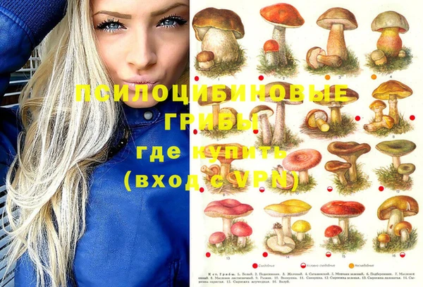 MDMA Premium VHQ Алексин
